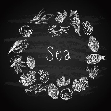 Kara tahtadaki deniz resimlerinin grafiksel kartı. Grafik seti. Manüel grafikler. Çizimler. Deniz hayvanları, mercanlar ve algler. Çeşitli yüzeyleri dekore etmek için kusursuz desen. 