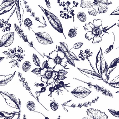Botanik çizimlerle grafiksel desen. Çiçekler, tomurcuklar, meyveler, yapraklar, dallar. Vektör çizimi. Manüel grafikler. Çeşitli yüzeyleri dekore etmek için kusursuz desen.