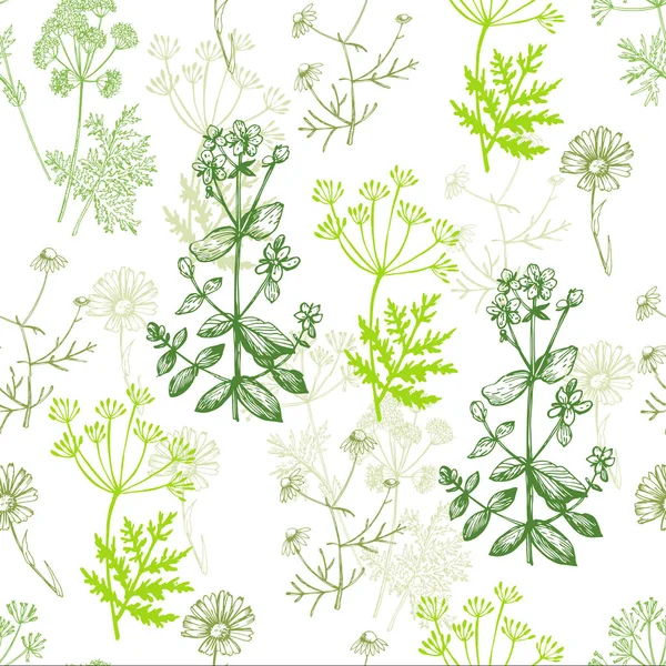 Kleurpatroon Met Kruiden Vector Illustratie Met Hand Getekende Wilde Planten — Stockvector