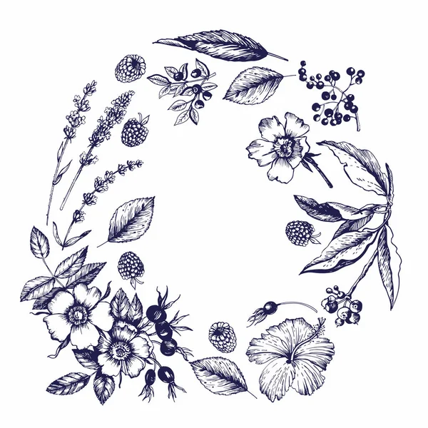 Grafischer Kranz Mit Botanischen Skizzen Blüten Knospen Früchte Blätter Äste — Stockvektor