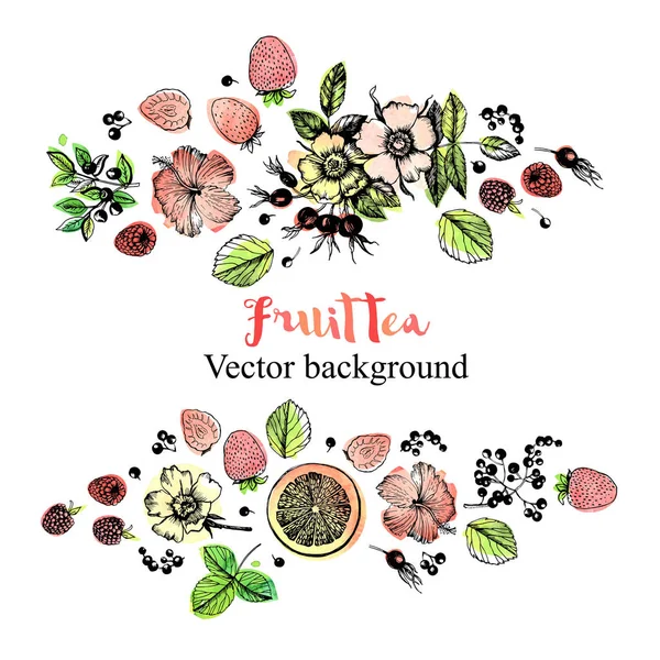 Ornement Plantes Fruit Tea Fleurs Bourgeons Fruits Feuilles Branches Illustration — Image vectorielle