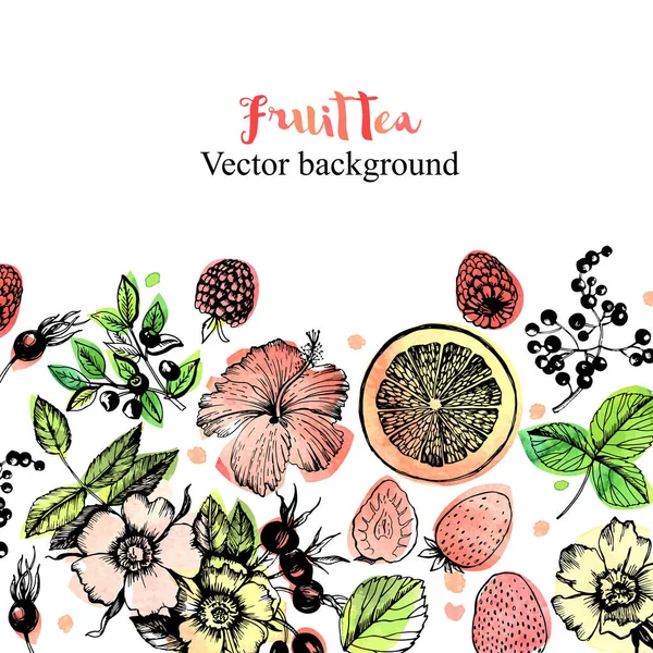 Plantes Fruit Tea Carte Graphique Ensemble Graphique Fleurs Bourgeons Fruits — Image vectorielle