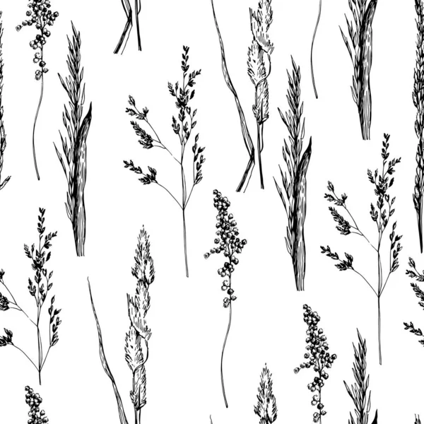Зерно Травяное Поле Нарисовано Вручную Швов Ручная Графика Векторная Иллюстрация — стоковый вектор