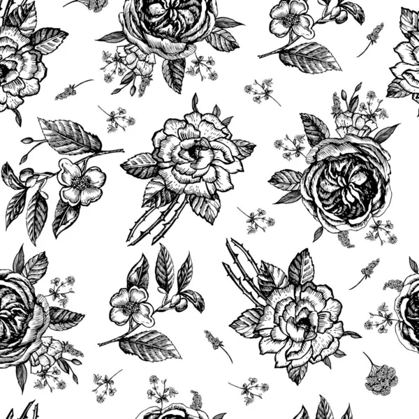 Nahtloses Grafisches Muster Mit Vintage Blumen Handgezeichnete Illustration Blütenblätter Blüten — Stockvektor