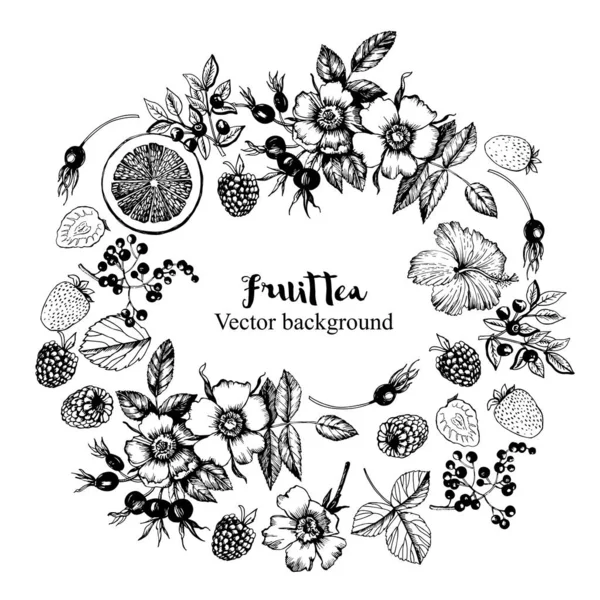 Plantas Fruit Tea Grinalda Decorativa Gráfica Flores Botões Frutas Folhas — Vetor de Stock