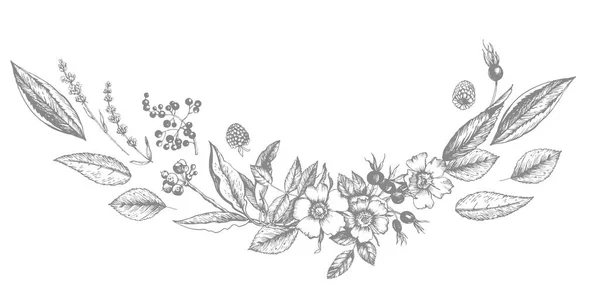 Composition Graphique Rétro Avec Fleurs Fleurs Bourgeons Fruits Feuilles Branches — Image vectorielle