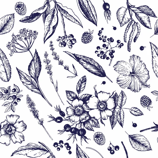 Grafikus Vintage Minta Botanikai Vázlatokkal Virágok Rügyek Gyümölcsök Levelek Ágak — Stock Vector