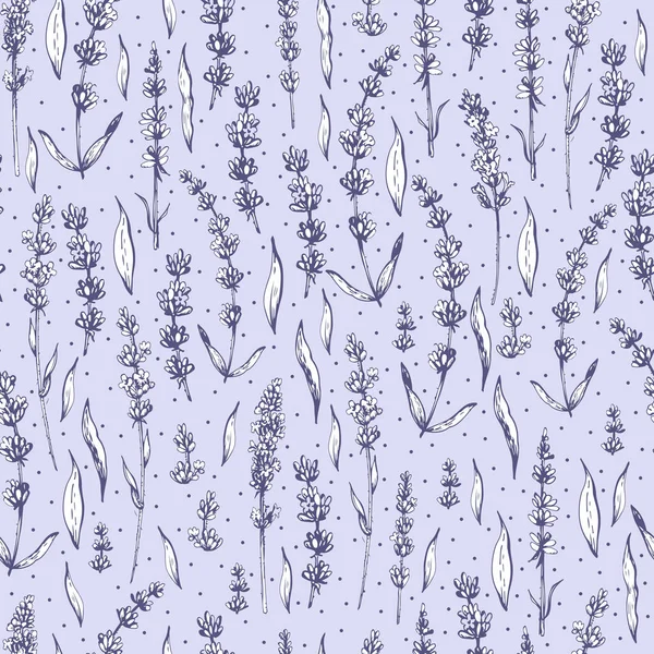Graphic Decorative Pattern Lavender — Stock Vector