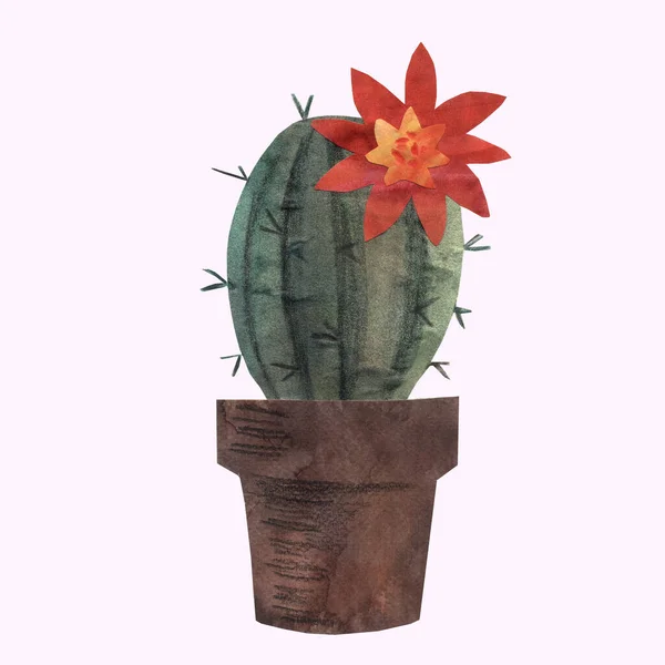 Illustrazione Cactus Nella Tecnica Del Collage Carta Lavoro Manuale Stampa — Foto Stock
