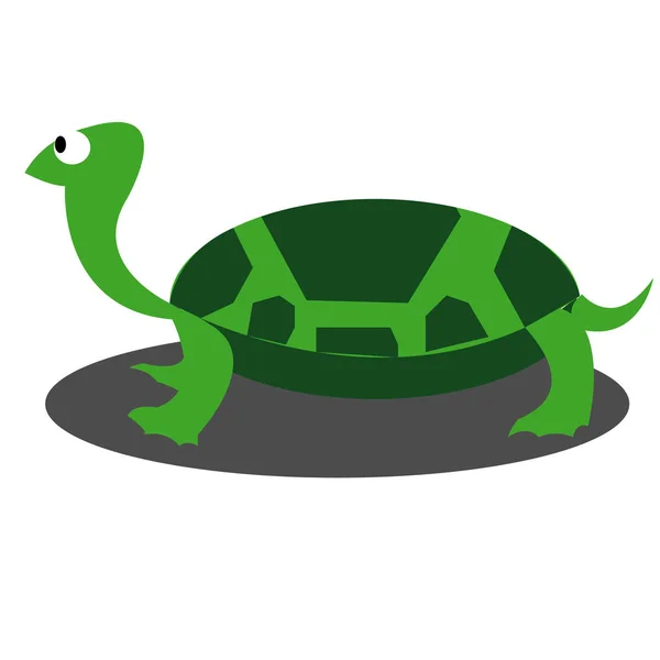 Ілюстрація зеленої черепахи на білому ізольованому фоні — стоковий вектор