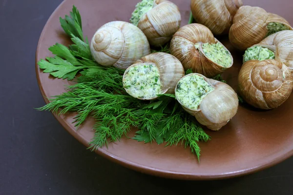 Lumache scargot cotte con burro all'aglio sul piatto — Foto Stock