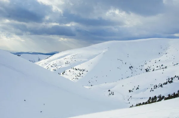 Carpathian mountains in winter, covered with snow — Stock Photo, Image