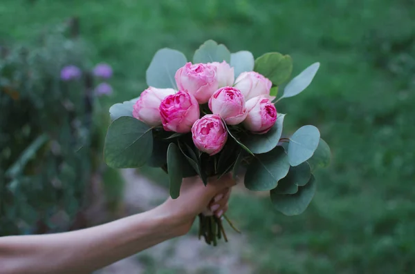 Hand hält Strauß rosa Rosen mit Eukalyptus — Stockfoto