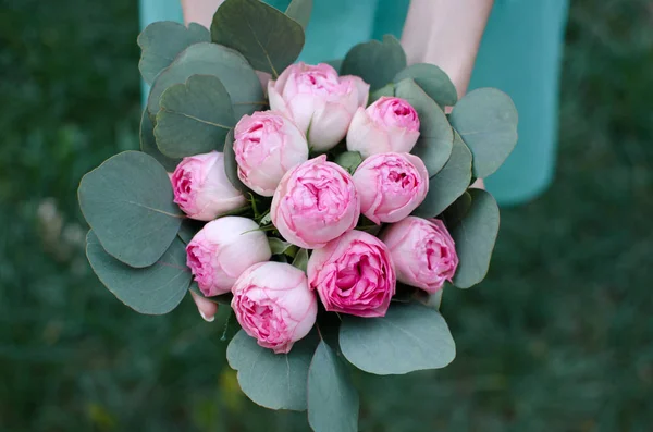 Hand hält Strauß rosa Rosen mit Eukalyptus — Stockfoto