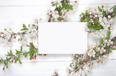 Tahta bir arka planda tebrik kartı için bahar çiçeği arkaplanı. Kopyalama alanı olan tasarım.