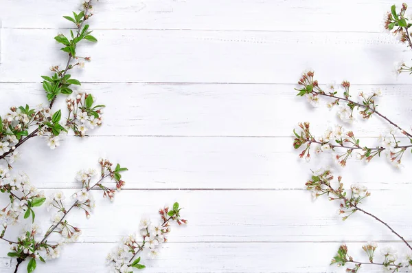 Färsk Körsbärsblomma Vitmålade Träplankor Selektivt Fokus Kopiera Utrymme — Stockfoto