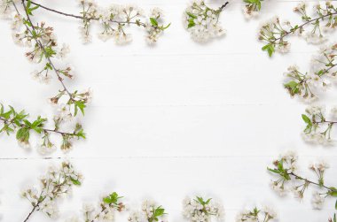 Beyaz boyanmış ahşap tahtalarda taze kiraz çiçeği. Seçici odaklanma. Boşluğu kopyala