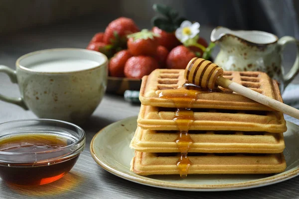 Obleas belgas con miel y bayas frescas — Foto de Stock