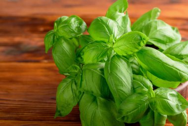 ahşap tahta üzerinde taze fesleğen yaprağı