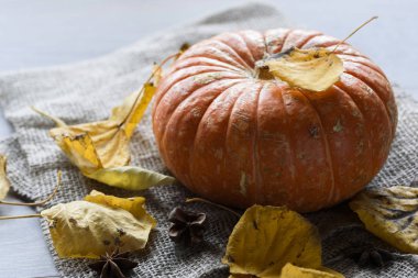 Sonbahar kabak Şükran günü arka plan - ahşap masa üzerinde turuncu kabak