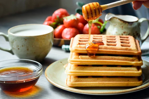 Obleas belgas con miel y bayas frescas — Foto de Stock