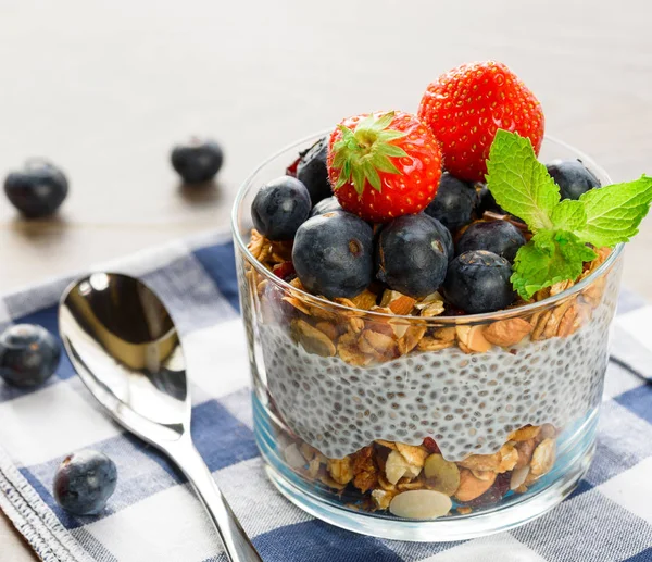 Yogurt with granola, fresh blueberries, chia seeds and oats in a — Stock Photo, Image