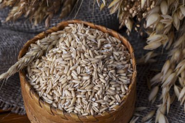 Hasır kutu ve çeşitli tahıl kulakları bütün yulaf taneleri