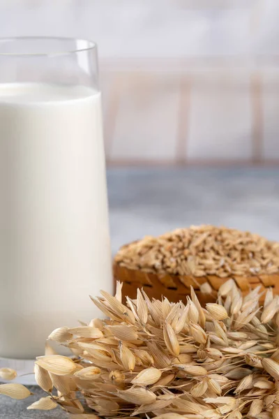 Glass of vegan oat milk and Oat on a table, space for text. — Stock Photo, Image