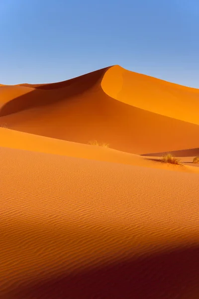 Zandduinen in de Saharawoestijn — Stockfoto