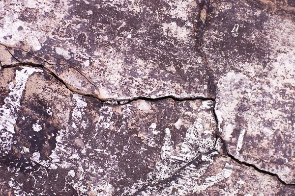 床の亀裂とコンクリートの灰色テクスチャ — ストック写真