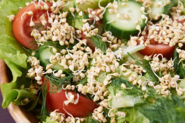 Buğday filizi. Taze sebze salatası. Sağlıklı beslenme