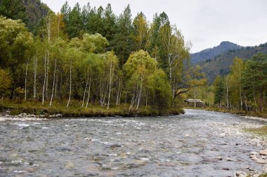 Güzel sonbahar manzara. Nehir akışı. Dağ manzarası
