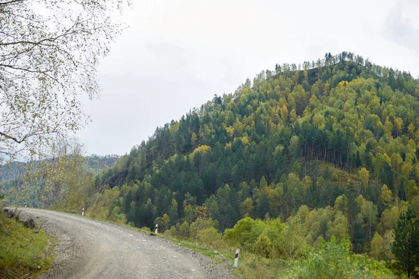 Podzimní krajina. Horská krajina. Zelený Les — Stock fotografie