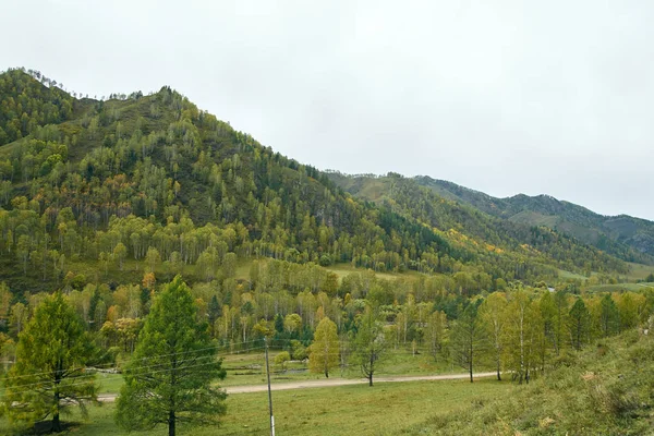 Grande floresta verde. Paisagem montesa. Paisagem de outono — Fotografia de Stock