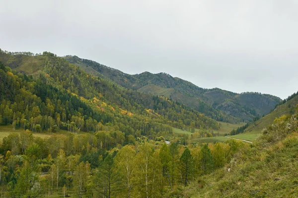 Paisagem montesa. Grande floresta verde. Paisagem de outono — Fotografia de Stock