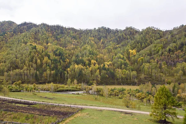 Осенний пейзаж. Большой зеленый лес. Горный пейзаж — стоковое фото