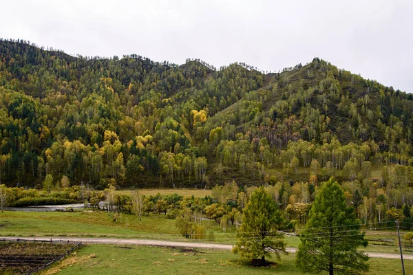 Paisagem de outono. Grande floresta verde. Paisagem montesa — Fotografia de Stock