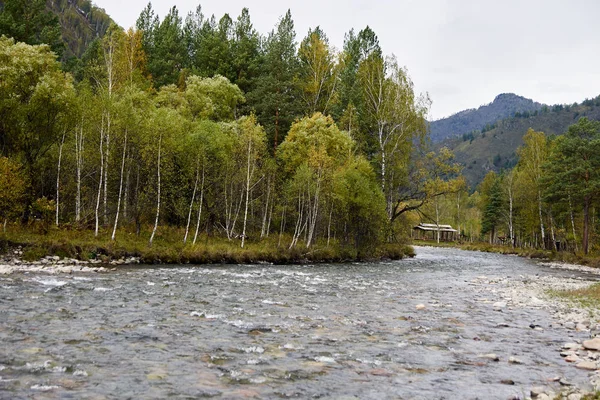 Güzel sonbahar manzara. Nehir akışı. Dağ manzarası