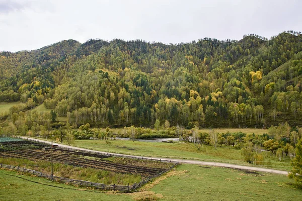 Horská krajina. Velký zelený les. Podzimní krajina — Stock fotografie