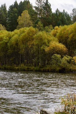 Güzel sonbahar manzara. Nehir akışı. Dağ manzarası
