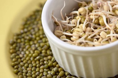 Yeşil fasulye. Taze lahanası. Beyaz Kupası. Sağlıklı gıda