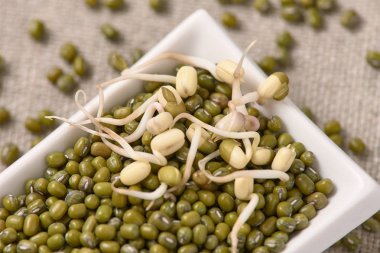 Yeşil fasulye. Taze lahanası. Beyaz tabak. Sağlıklı gıda