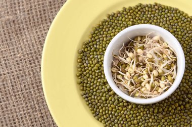 Taze lahanası. Yeşil fasulye. Beyaz Kupası. Sağlıklı gıda