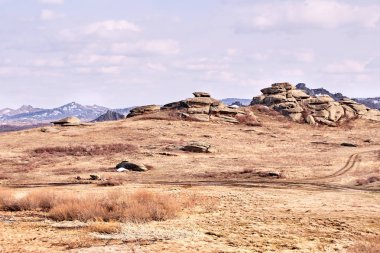 Güzel sahne. Gri taşlar. Dağ manzarası. Kuru ot