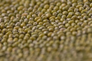 Birçok yeşil fasulye. Sağlıklı yemekler pişirmek. Koyu renk