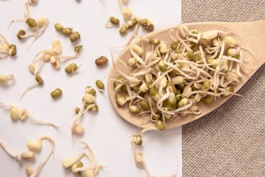 Fasulye filizi. Beyaz arka plan. Tahta kaşık. Fasulye yaymak