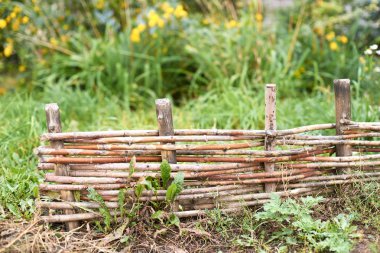 Çitin twigs dokuma. Parlak yeşil çimen