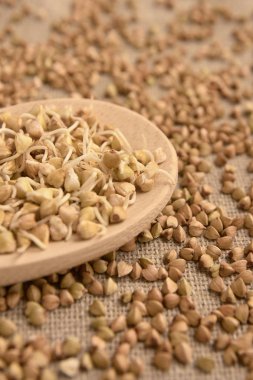 Mısır gevreği filizlenir. Kahverengi zemin. Tahta kaşık