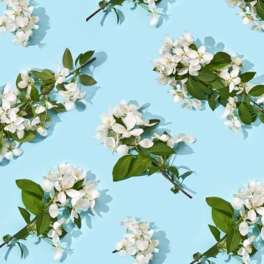Elma ağacı çiçek deseni. Parlak yaz arkaplanı