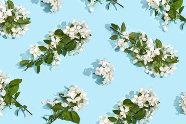 Elma ağacı çiçek deseni. Parlak yaz arkaplanı